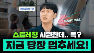 물리치료사가 알려주는 진짜 허리에 좋은 스트레칭 방법